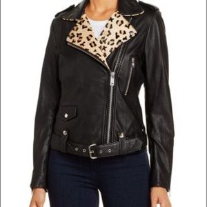 Scotch and soda leopard motorcycle jacket